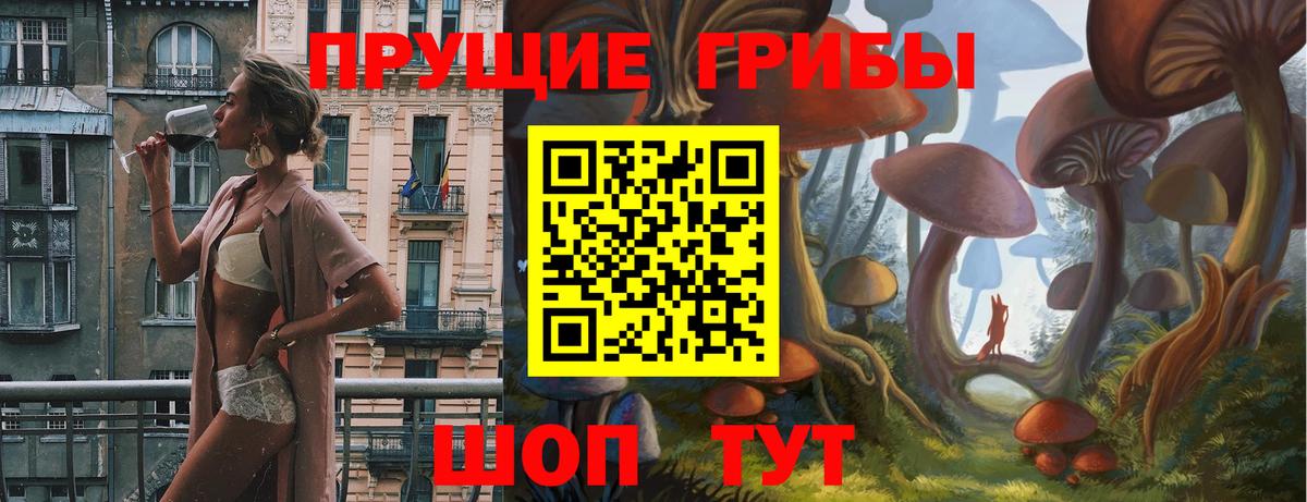 Шали  Галлюциногенные грибы Cubensis  Вход с VPN 